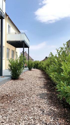 Apartamento Alte Post