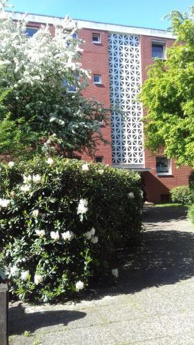 Apartment Bexor D19