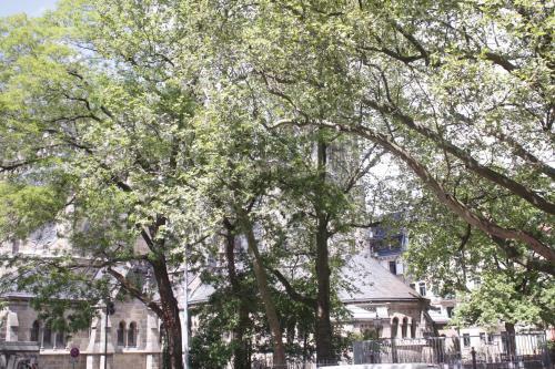 Apartamento Silentio Schletterstrasse