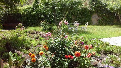 Villa Floral