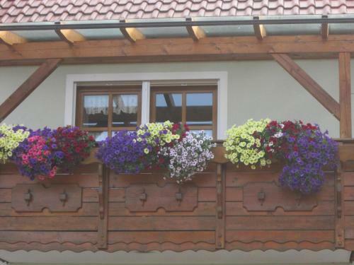 Posada G�stehaus Weber