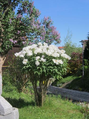 Posada G�stehaus Weber