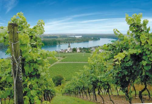 Best Western Wein- Und Parkhotel