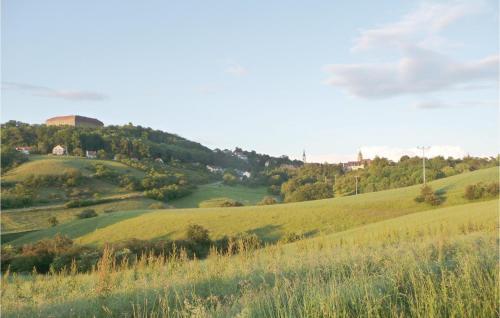 Three-bedroom Holiday Home In Schillingsfurst