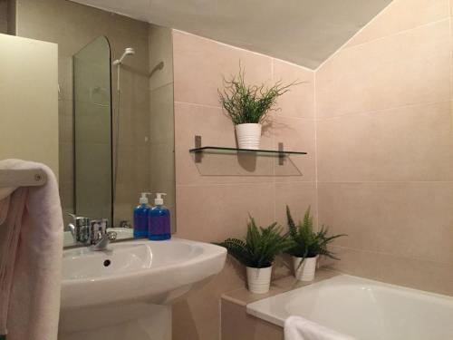 Apartamentos Viejo Continente