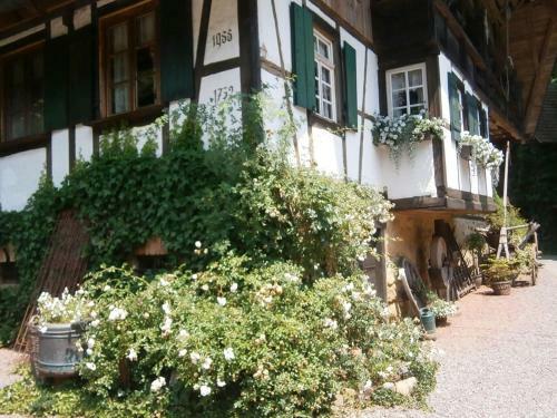 Apartamentos Vier Jahreszeiten Idyll