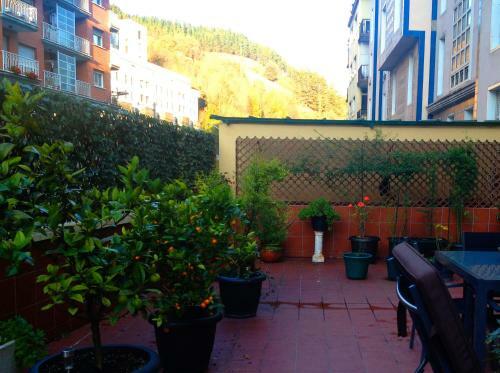 Apartamento Carmen 7