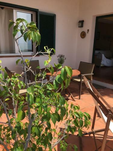 Apartamento Islas Medas