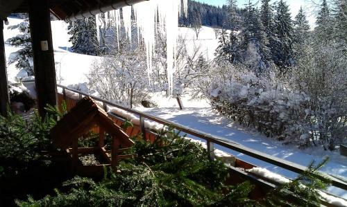 Hotel Schwarzwaldgasthaus Salenhof