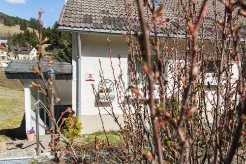 Apartamento Kuckucksnest Todtnau-muggenbrunn