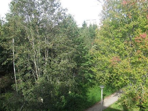 Apartamento Ferienwohnung Villingen