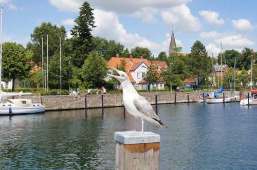 Ostsee Mobilheime Heideby