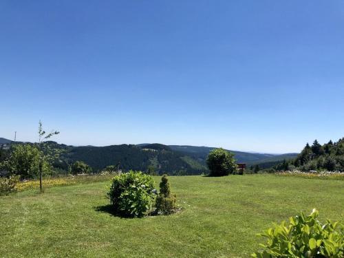 Apartamento Haus Schneekappe (winterberg)