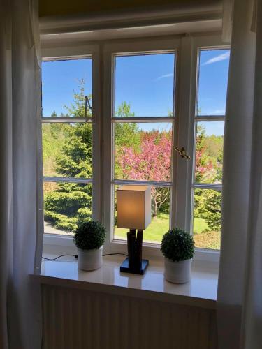 Apartamento Haus Schneekappe (winterberg)