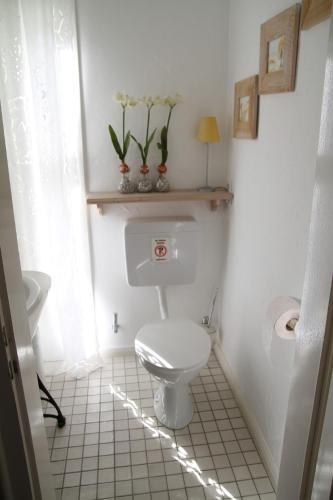 Apartamento Haus Schneekappe (winterberg)