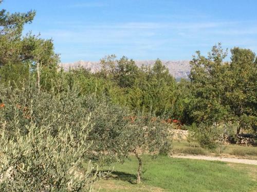 G�te Class� Argelas Romarin