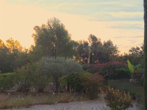G�te Class� Argelas Romarin