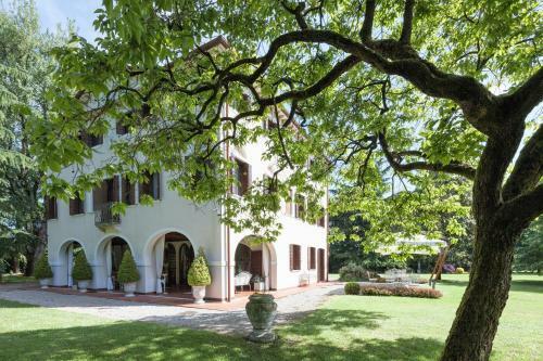 Bed & Breakfast Villa Zane
