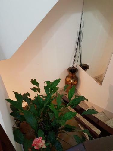 Hostal A Vianda