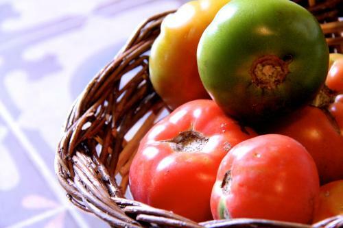 Agroturismo Cal Tat�