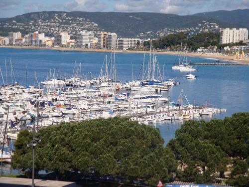 Apartamento Atico En 1a Linea De Mar