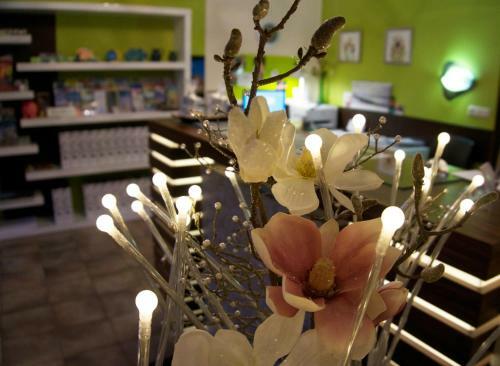 Hostal Hotel Garni Inselparadies Zingst