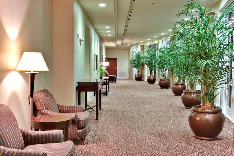 Hotel Holiday Inn Yuma