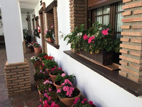 Hotel La Hacienda Del Marquesado