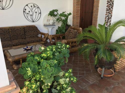 Hotel La Hacienda Del Marquesado