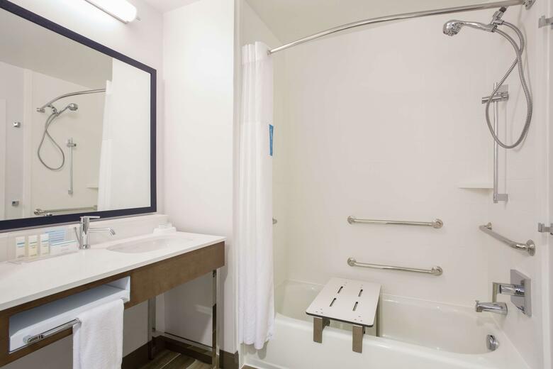 Hotel Hampton Inn & Suites Denver-downtown Co