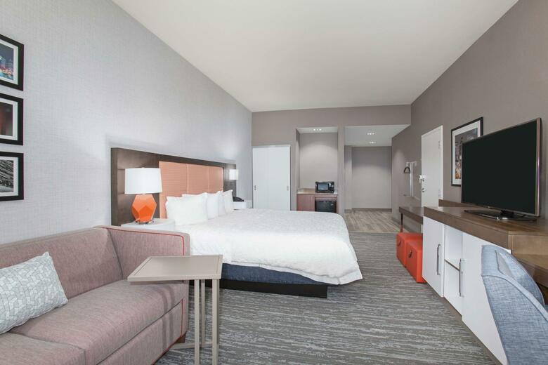 Hotel Hampton Inn & Suites Denver-downtown Co