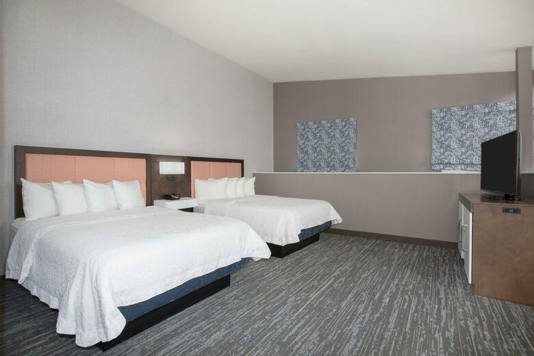 Hotel Hampton Inn & Suites Denver-downtown Co