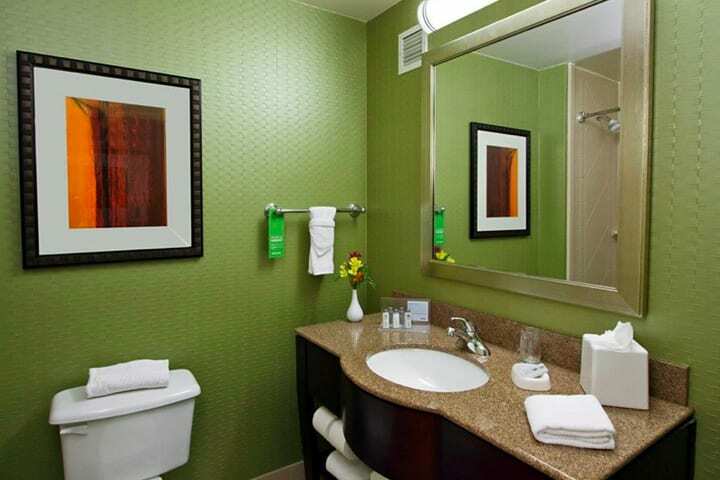 Hotel Hampton Inn & Suites Denver-downtown Co