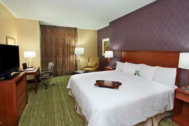 Hotel Hampton Inn & Suites Denver-downtown Co