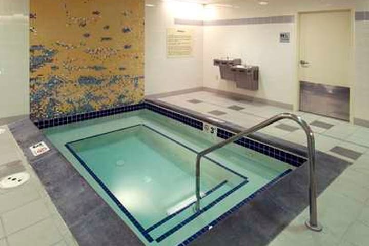 Hotel Hampton Inn & Suites Denver-downtown Co