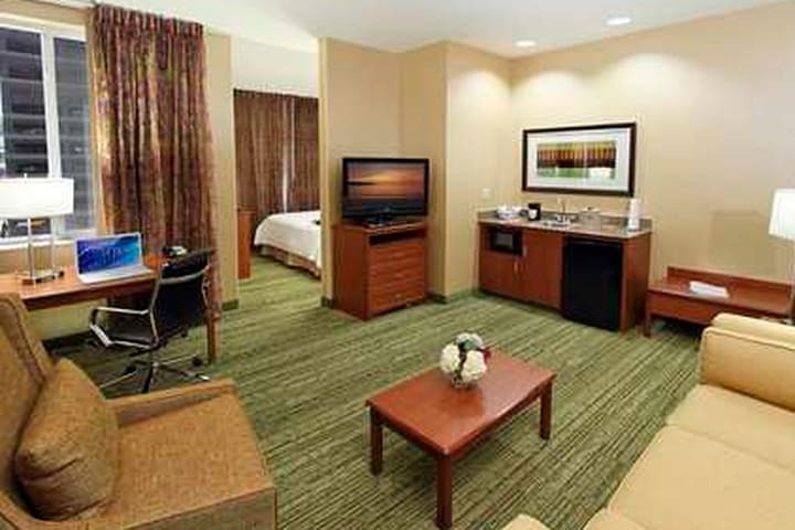 Hotel Hampton Inn & Suites Denver-downtown Co