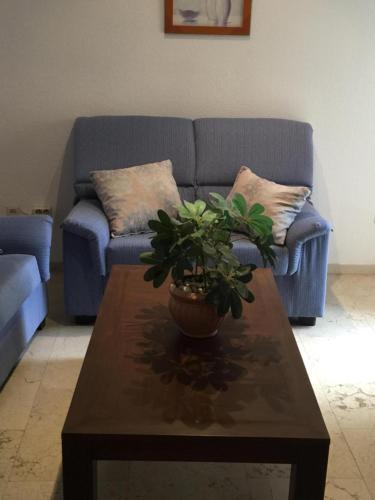 Apartamentos Gondomar Cordoba