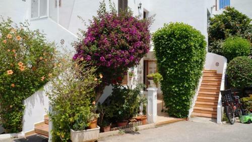 Apartamento Patio Andaluz