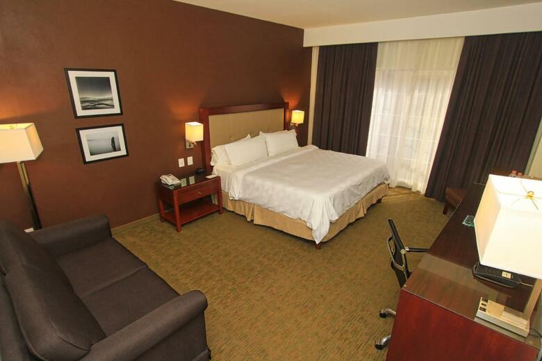Hotel Holiday Inn Leon