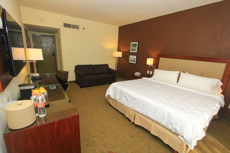 Hotel Holiday Inn Leon