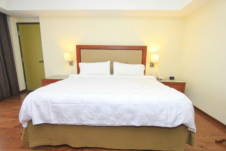 Hotel Holiday Inn Leon