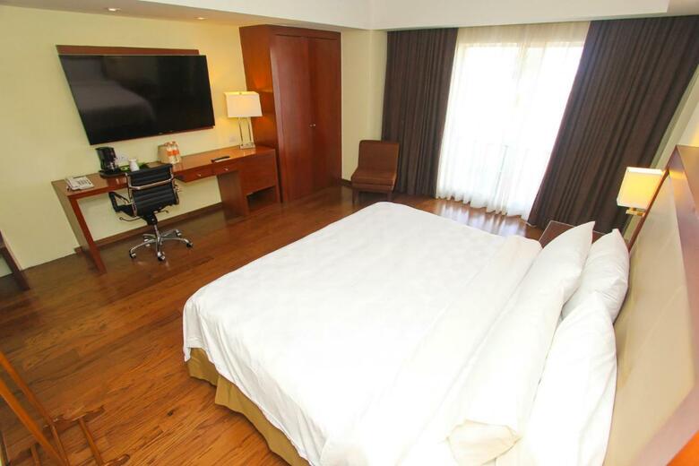 Hotel Holiday Inn Leon