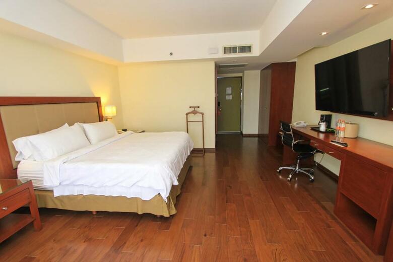 Hotel Holiday Inn Leon