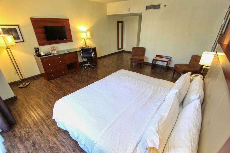 Hotel Holiday Inn Leon