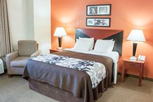 Hotel Sleep Inn (mount Pleasant)