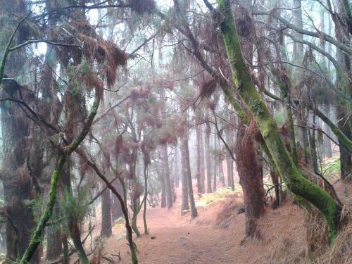 Natural Park