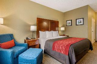 Hotel Comfort Inn Dfw North