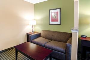 Hotel Comfort Suites Las Colinas Center