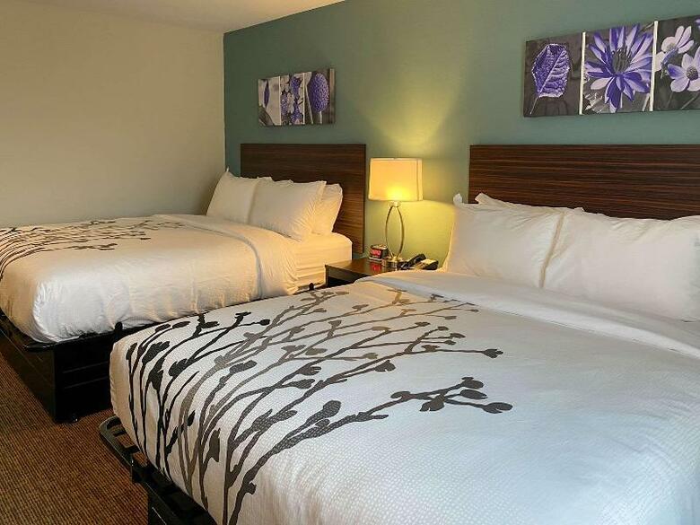 Hotel Comfort Suites Four Seasons