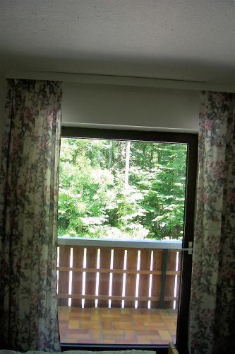 Hostal The Treehouse Backpacker Hotel
